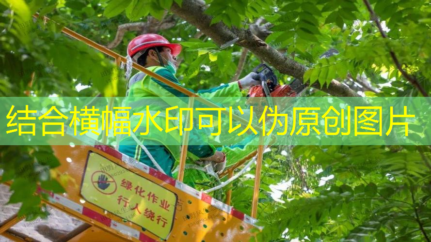 水土保持与城市绿化区别