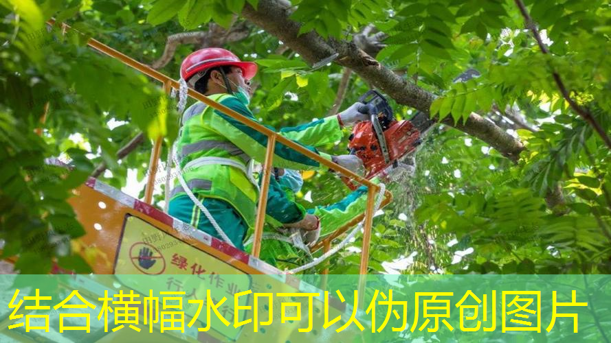 无锡生活绿化工程供应