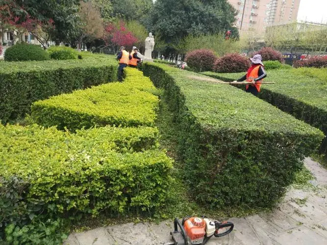 南阳城市道路绿化养护成本