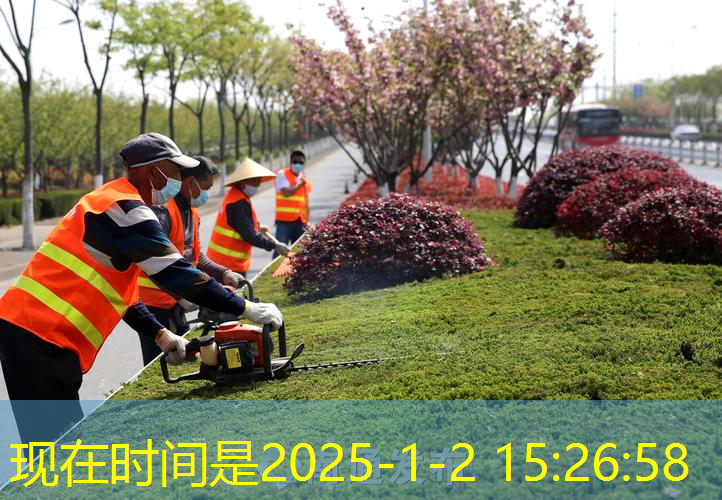 晋江市容绿化管理局