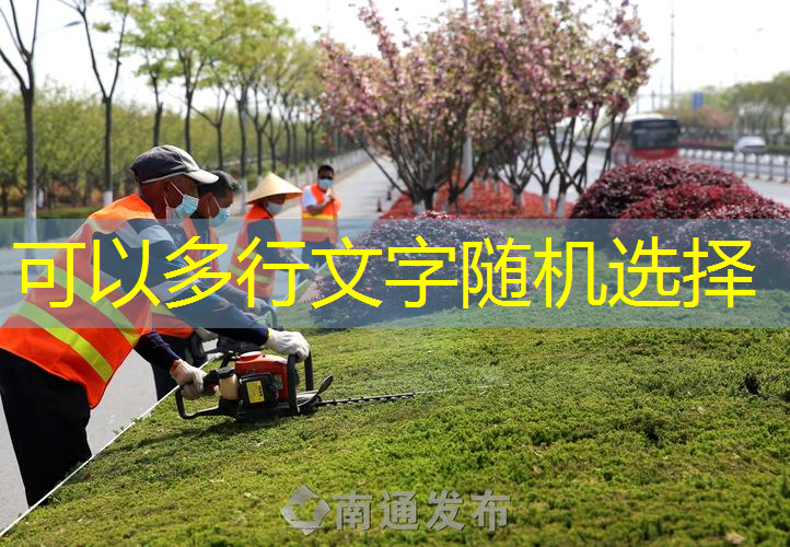 太行山绿化工程森林功能
