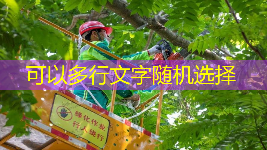 清远道路园林绿化工程施工