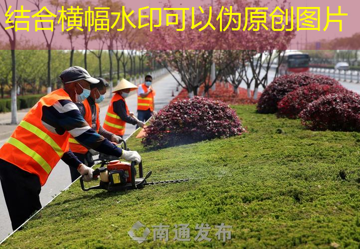 绿化工程建设专业知识培训
