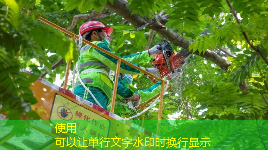 家庭园林景观设计假山鱼塘