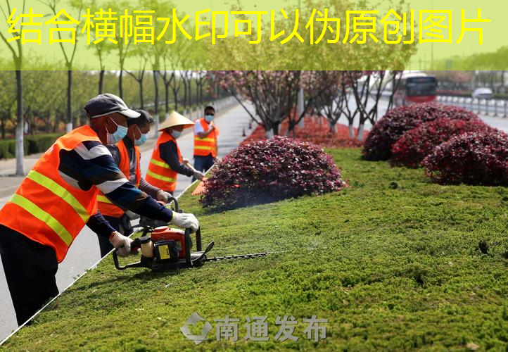 市政园林管理需加强专业人才队伍建设以应对新挑战
