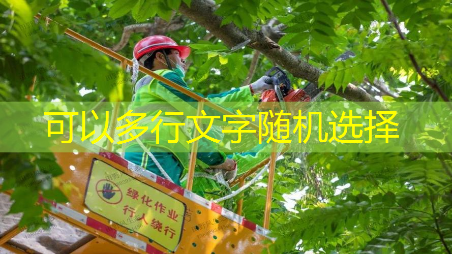 别墅底下室内园林景观设计