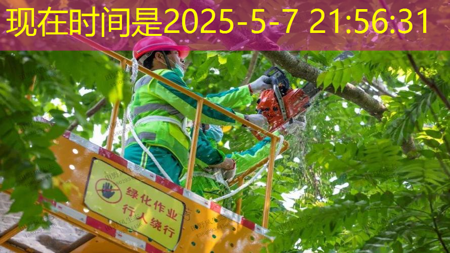 村子园林景观设计经典案例