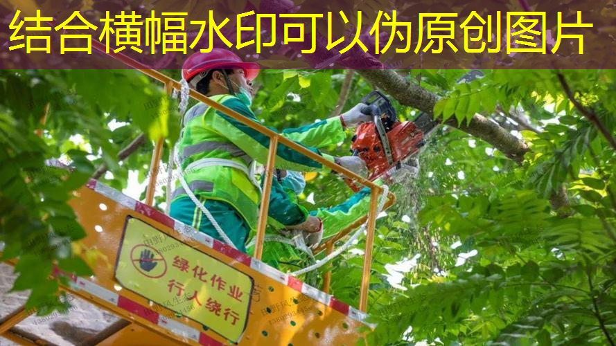 2000亩的园林景观设计