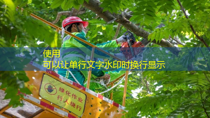 园林管理不善，造成绿化资源浪费现象