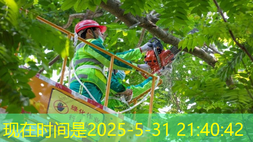 繁荣城市生态系统：有机园林设计的新趋势探索