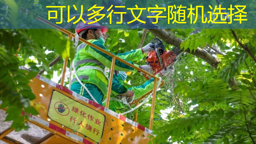 渭南富力城1期绿化工程