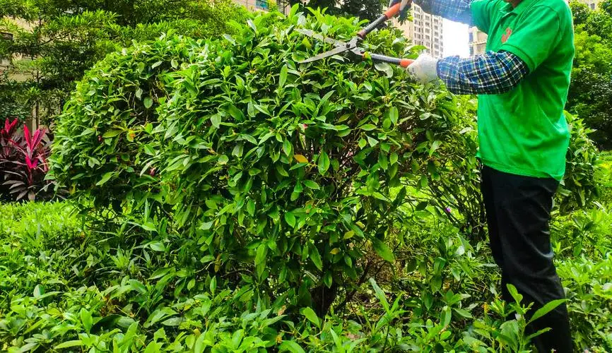 参观园林景观设计