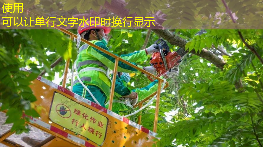 绿化工程气质