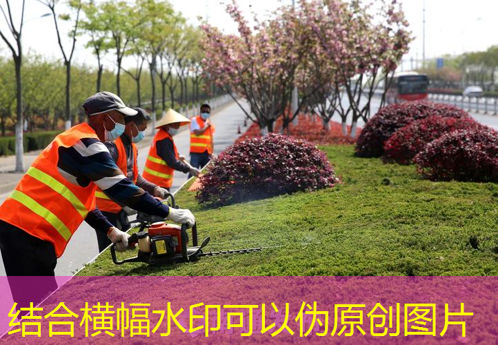 深圳绿化工程付款方式