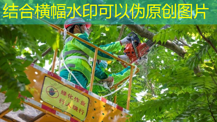 应城旧房改造绿化工程
